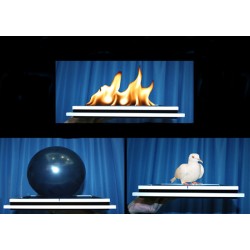 Balloon-Fire to Dove Tray