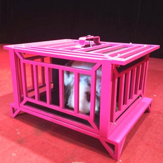 Balloon To Rabbit Cage - Steel