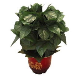 BLOOMING ROSE BUSH - REMOTE CONTROL - 10 FLOWERS - ORIGINAL VERSION