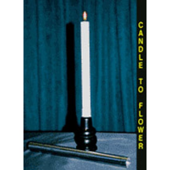 CANDLE TO FLOWER S.S.