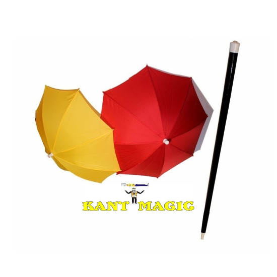 Cane To Double Umbrella