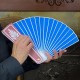 COLOR CHANGING FAN – LARGE
