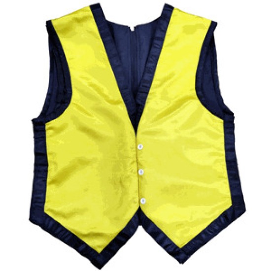 COLOR CHANGING WAISTCOAT