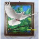 DOVE FRAME by KANT