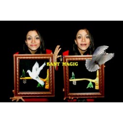 DOVE PICTURE TO REAL DOVE - IMP.