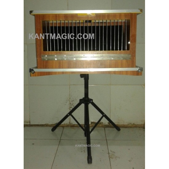 DOVE TO DOG WITH BOX