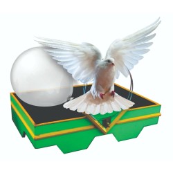 Dove in Balloon Tray