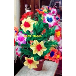 GIANT BOUQUET FROM 3 SILKS