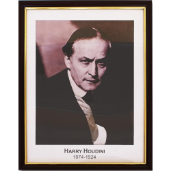 Houdini Prediction Frame 