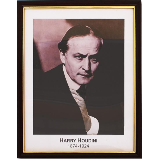 Houdini Prediction Frame