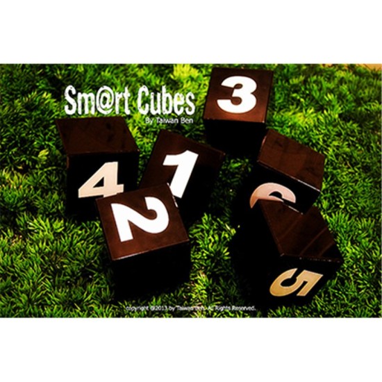 SMART CUBES (LARGE) - SUPER