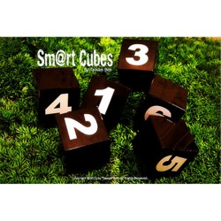 SMART CUBES (LARGE) BY TAIWAN BEN MAGIC