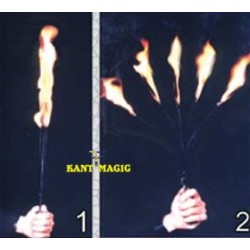 TORCH OF FIRE TO FIVE TO CANE -IMP.