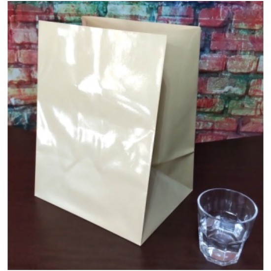 Water & Paper Bag